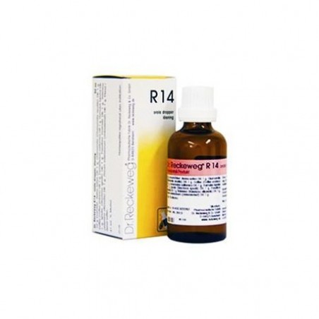 Dr. Reckeweg & Co. Gmbh Reckeweg R14 Gocce 22 Ml