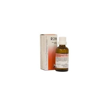 Dr. Reckeweg & Co. Gmbh Reckeweg R28 Gocce 22 Ml