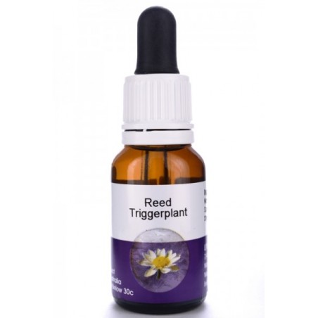 Natur Reed Trigger Plant 15ml