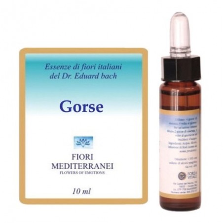 Forza Vitale Italia Fiori Mediterranei Gorse 10 Ml