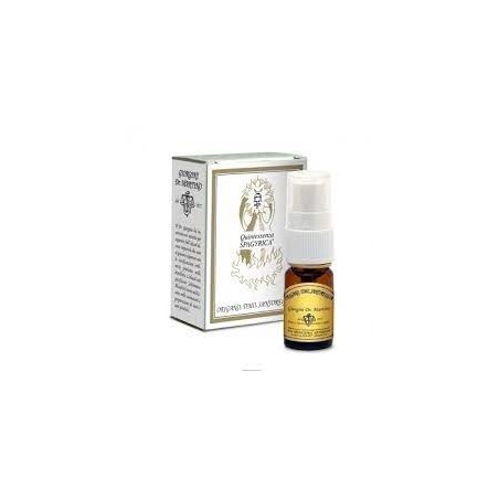 Dr. Giorgini Ser-vis Santoreggia Quintessenza Spray 15 Ml