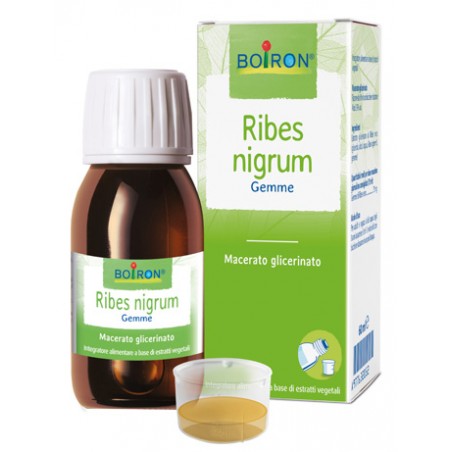 Boiron Ribes Nigrum Macerato Glicerico 60 Ml Int