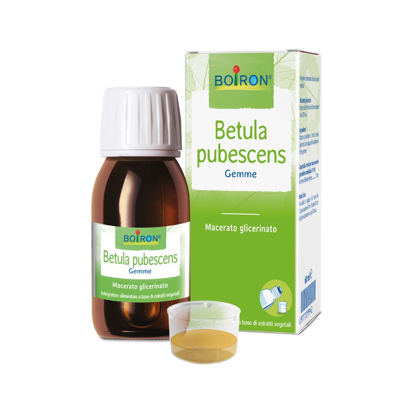 Boiron Betula Pubescens Macerato Glicerico 60 Ml Int