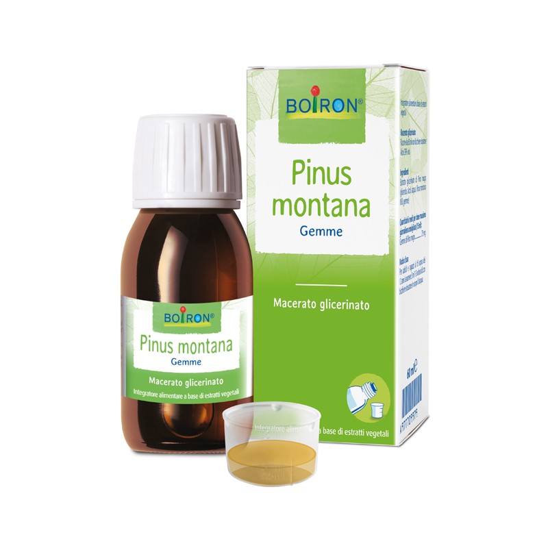 Boiron Pinus Montana Macerato Glicerico 60 Ml Int