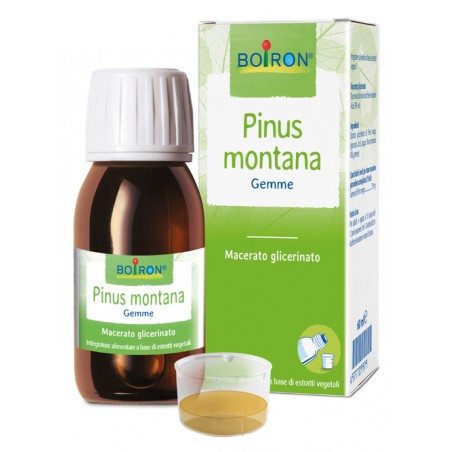 Boiron Pinus Montana Macerato Glicerico 60 Ml Int