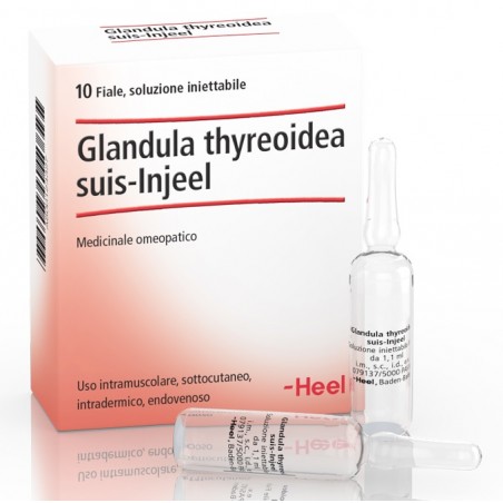 Guna Heel Glandula Thyroidea Suis Injeel 10 Fiale