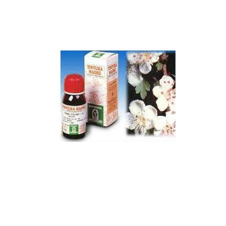 Specchiasol Biancospino 10 50ml Tm