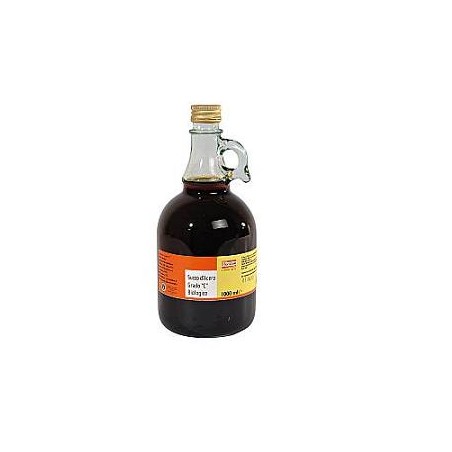 Biotobio Succo D'acero 250 Ml