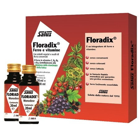 Salus Haus Gmbh & Co Kg Floradix Monodose 10 Fiale