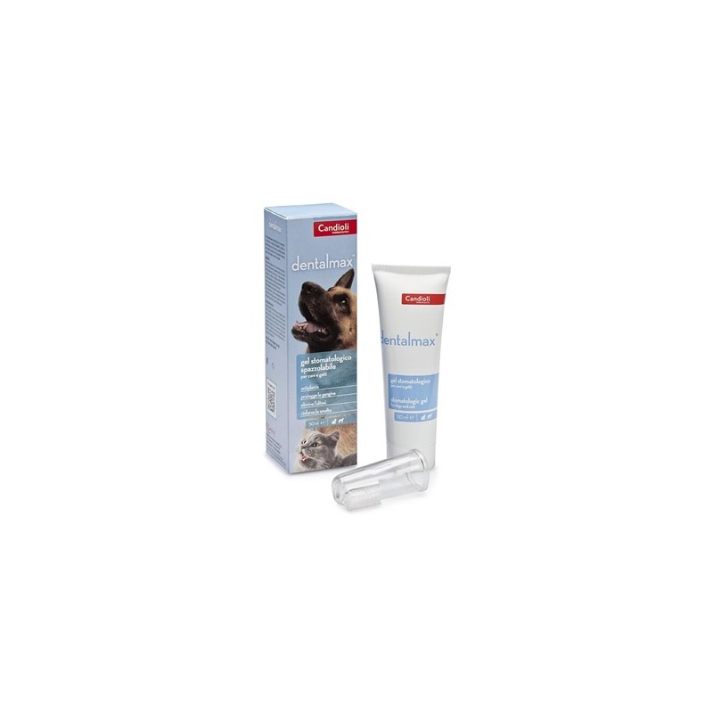 Candioli Ist. Profil. E Farm. Dentalmax Gel Stomatologico 50 Ml