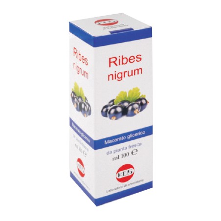 Kos Ribes Nigrum Mg 100 Ml Gocce