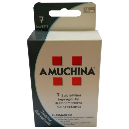 Angelini Amuchina Salviette Disinfettanti 7 Pezzi