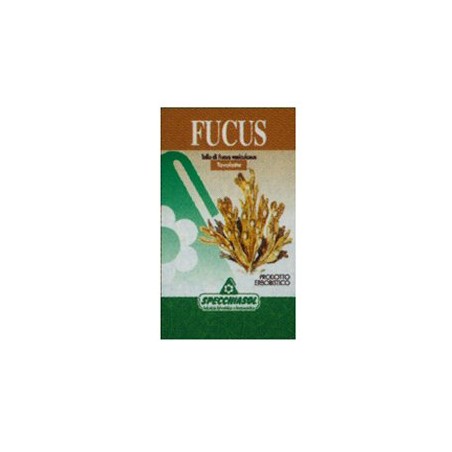 Specchiasol Fucus Erbe 150 Tavolette