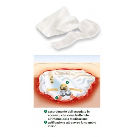 Lohmann & Rauscher Medicazione Sterile In Alginato Di Calcio Compressa Suprasorb A Altamente Assorbente 10x10 Cm 10 Pezzi