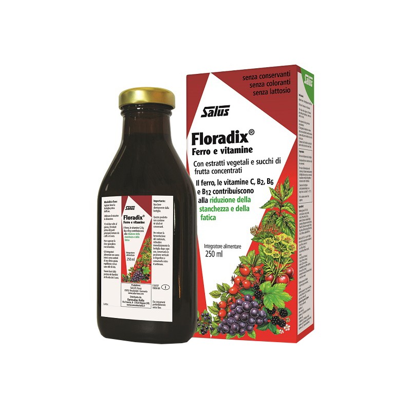 Salus Haus Gmbh & Co Kg Floradix Ferro E Vitamine 250 Ml