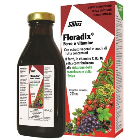 Salus Haus Gmbh & Co Kg Floradix Ferro E Vitamine 250 Ml