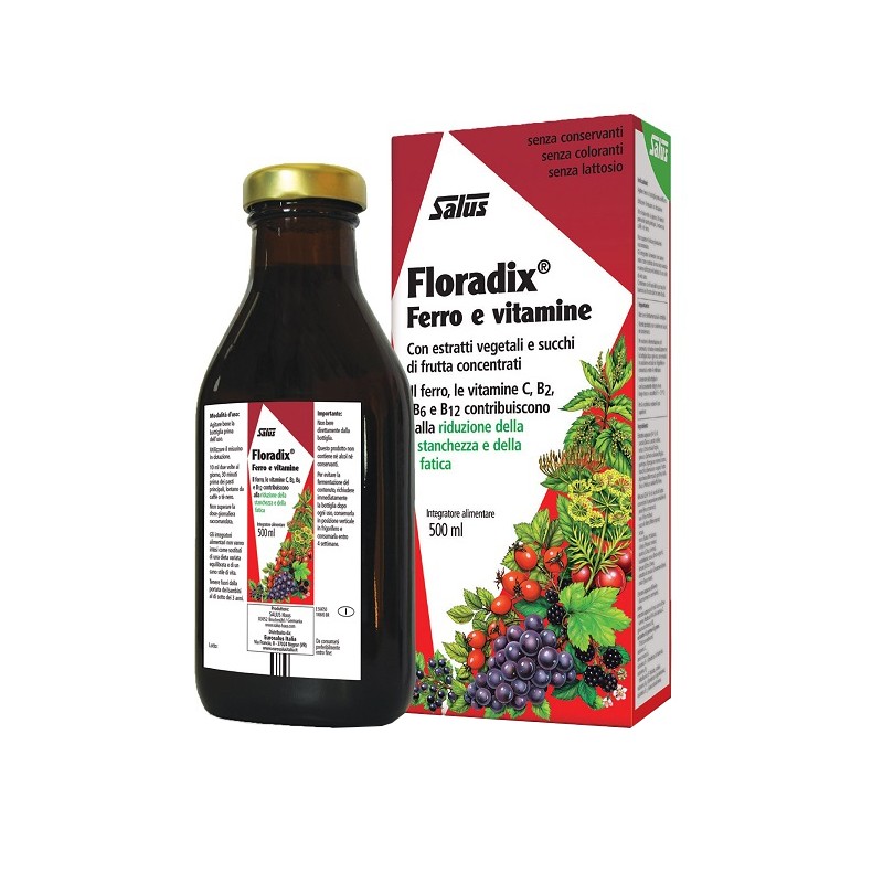 Salus Haus Gmbh & Co Kg Floradix Ferro E Vitamine 500 Ml