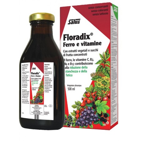 Salus Haus Gmbh & Co Kg Floradix Ferro E Vitamine 500 Ml