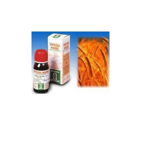 Specchiasol Avena Sativa 3 50ml Tm