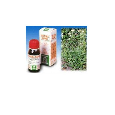 Specchiasol Achillea 51 Tintura Madre 50 Ml