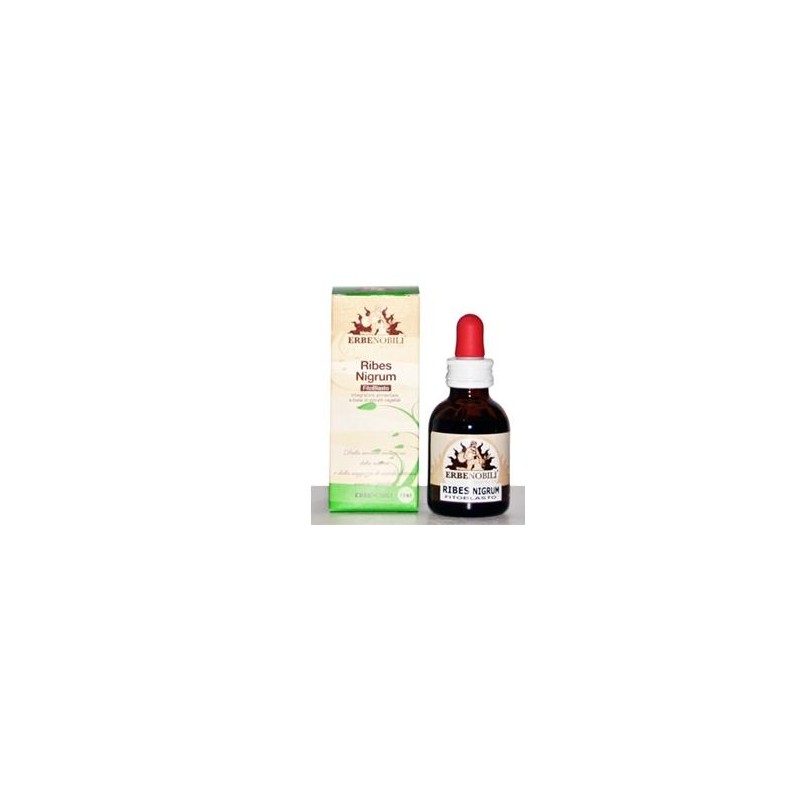 Erbenobili Fitoblasto Ribes Nigrum 50 Ml