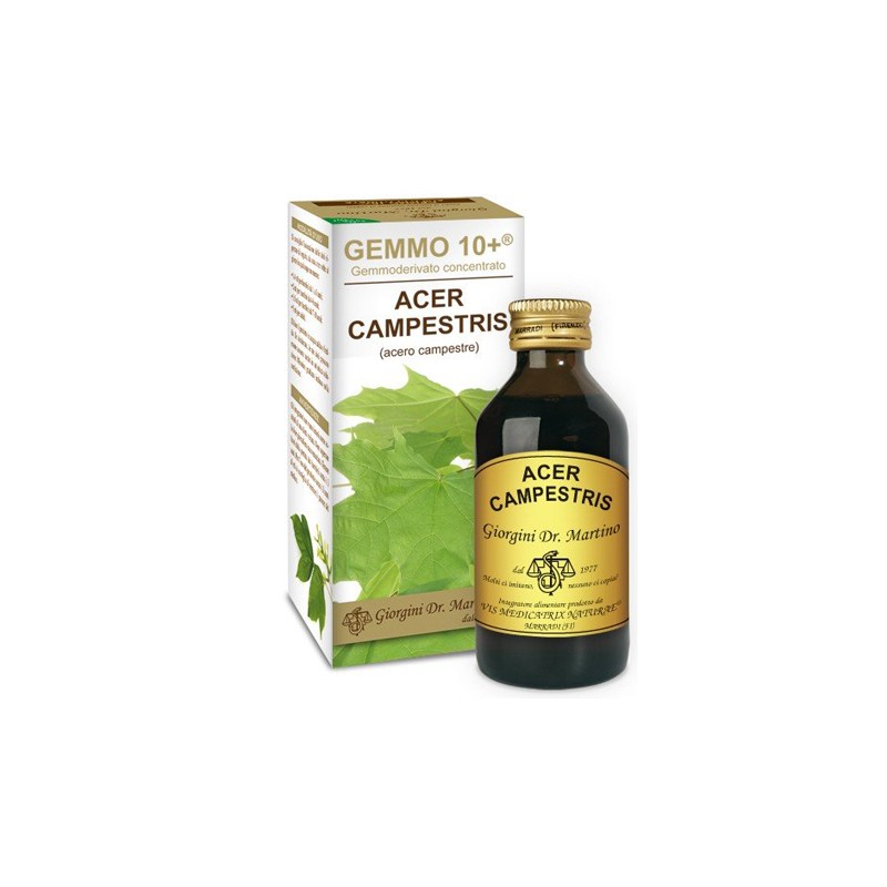 Dr. Giorgini Ser-vis Gemmo 10+ Acero Campestre 100 Ml Liquido Analcolico