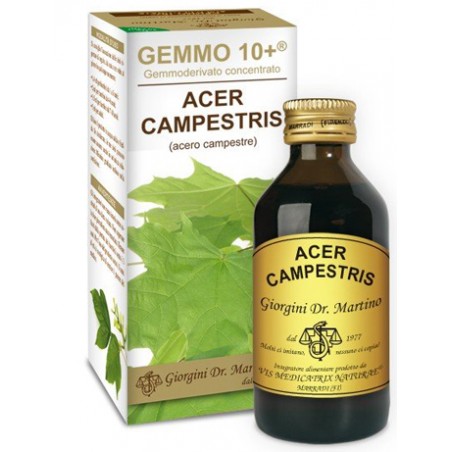 Dr. Giorgini Ser-vis Gemmo 10+ Acero Campestre 100 Ml Liquido Analcolico