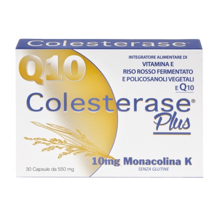 Wp Corporate Colesterase Plus 30 Capsule