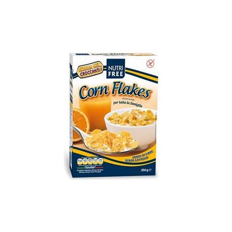 Nt Food Nutrifree Corn Flakes 250 G