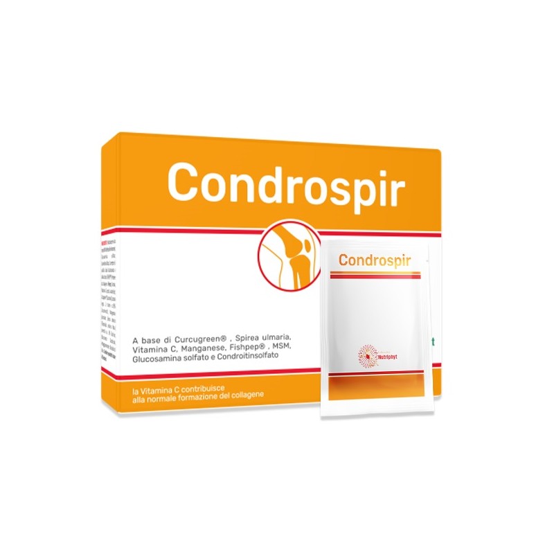 Anvest Health Condrospir 20 Bustine 4 G