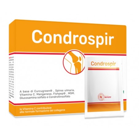 Anvest Health Condrospir 20 Bustine 4 G