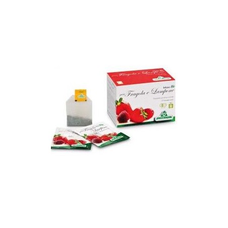 Specchiasol Infuso Fragola/lampone 20 Filtri