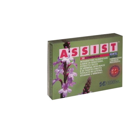 Gd Assist Forte Retard 30 Compresse