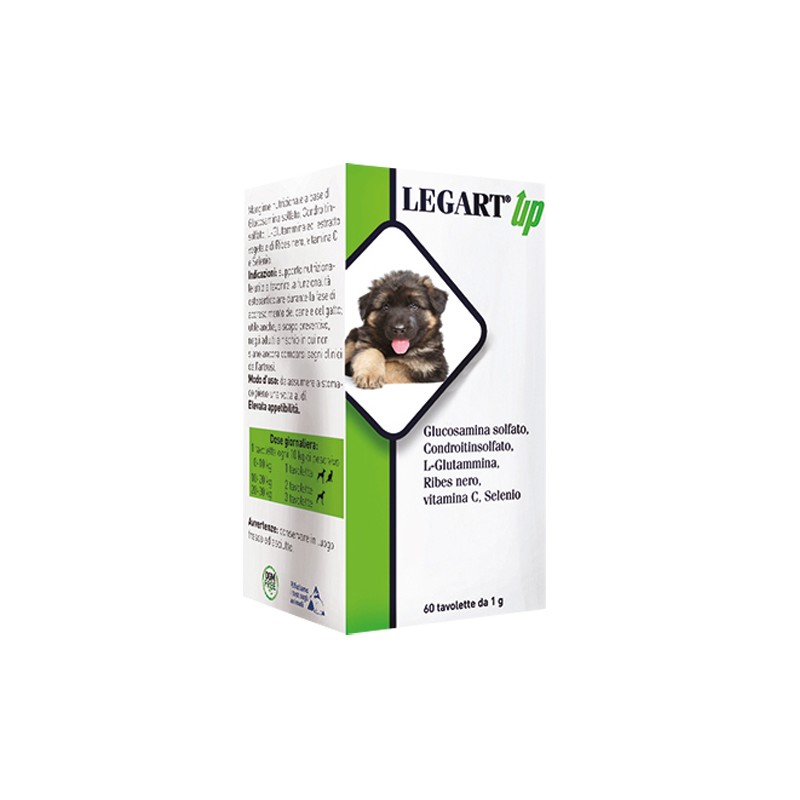 Ddfarma Legart Up 60 Compresse Da 1 G