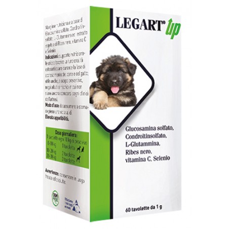 Ddfarma Legart Up 60 Compresse Da 1 G