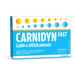 confezione 20 bustine carnidyn fast