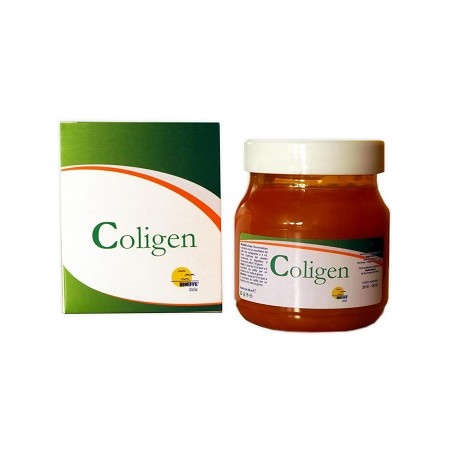 Bioeffe Coligen Gel 150 Ml