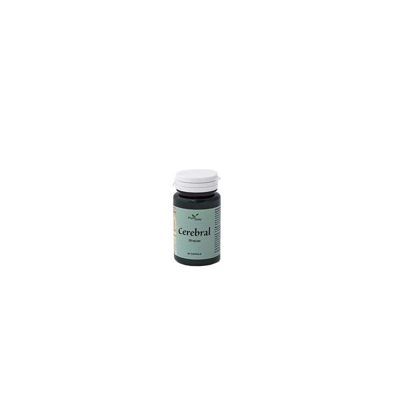 Phytoitalia Cerebral Ayurved 60 Capsule