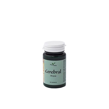 Phytoitalia Cerebral Ayurved 60 Capsule