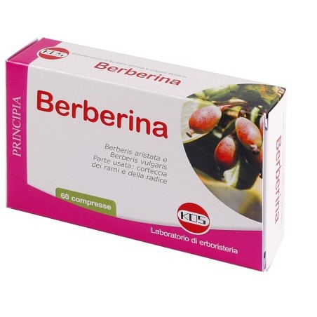 Kos Berberina Da Berberis Vulgaris Estratto Secco 60 Compresse