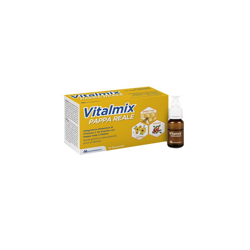 Montefarmaco Otc Vitalmix Pappa Reale 10flaconcini X10 Ml S/gl