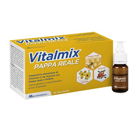 Montefarmaco Otc Vitalmix Pappa Reale 10flaconcini X10 Ml S/gl