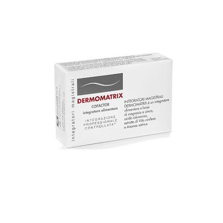 Cosmetici Magist Dermomatrix Integratore Magistrale 20 Capsule