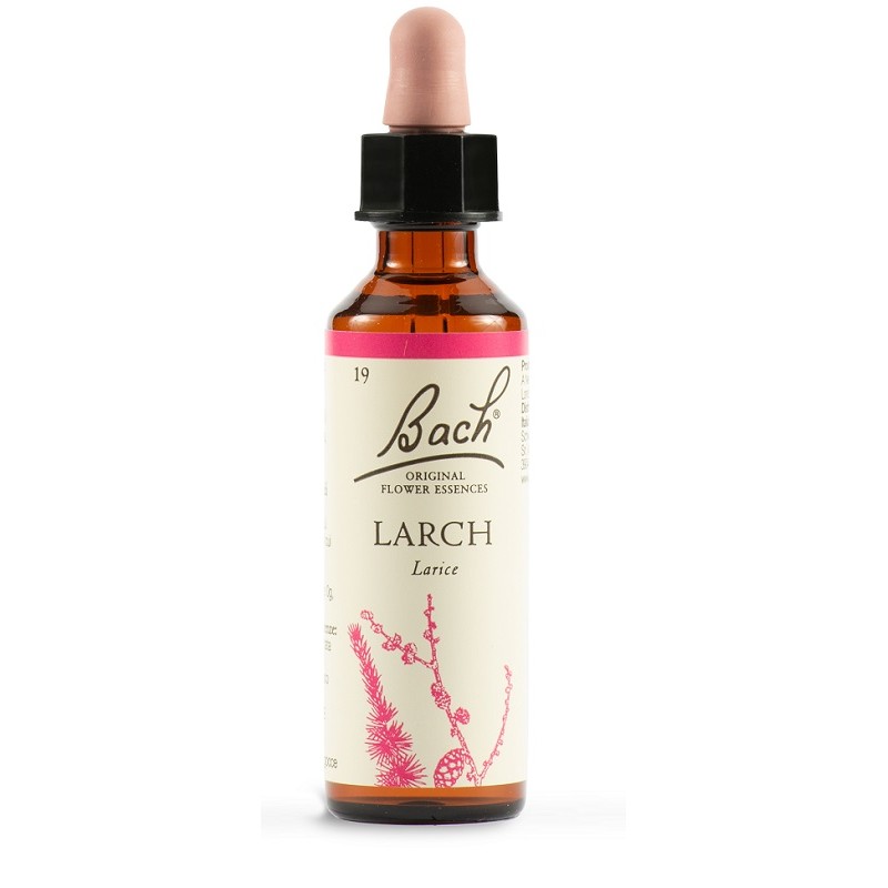 Schwabe Pharma Italia Larch Bach Orig 20 Ml