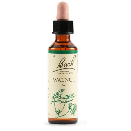 Schwabe Pharma Italia Walnut Bach Orig 20 Ml