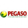 Pegaso